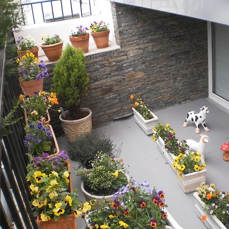 Hotel Santa Apolonia Bragança Eksteriør bilde